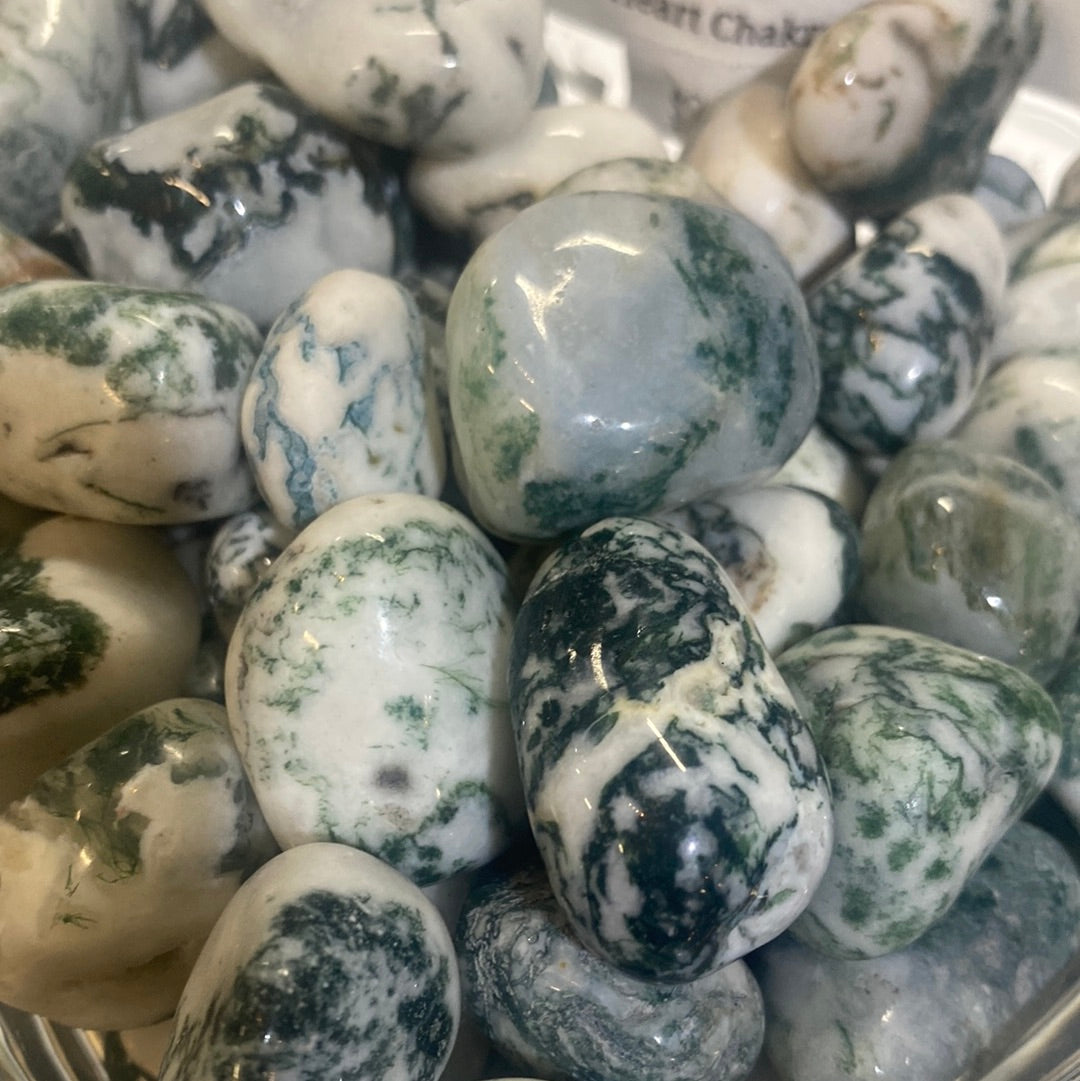Tree Agate