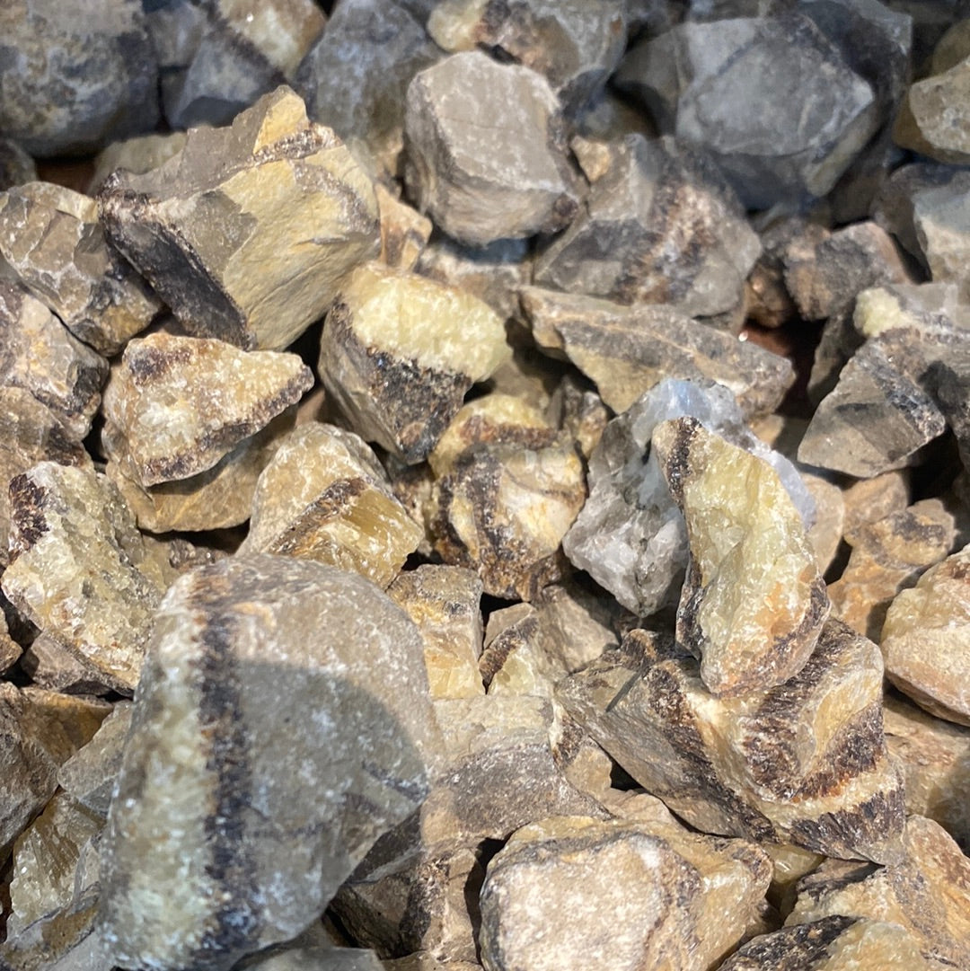 Rough Septarian Dragon