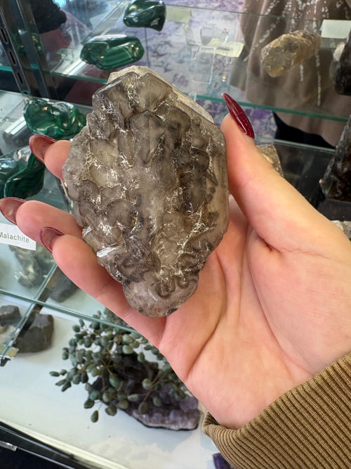 Alligator Quartz