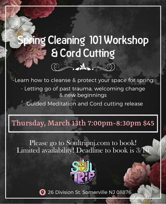 Spring Cleaning 101 Workshop & Cord Cutting