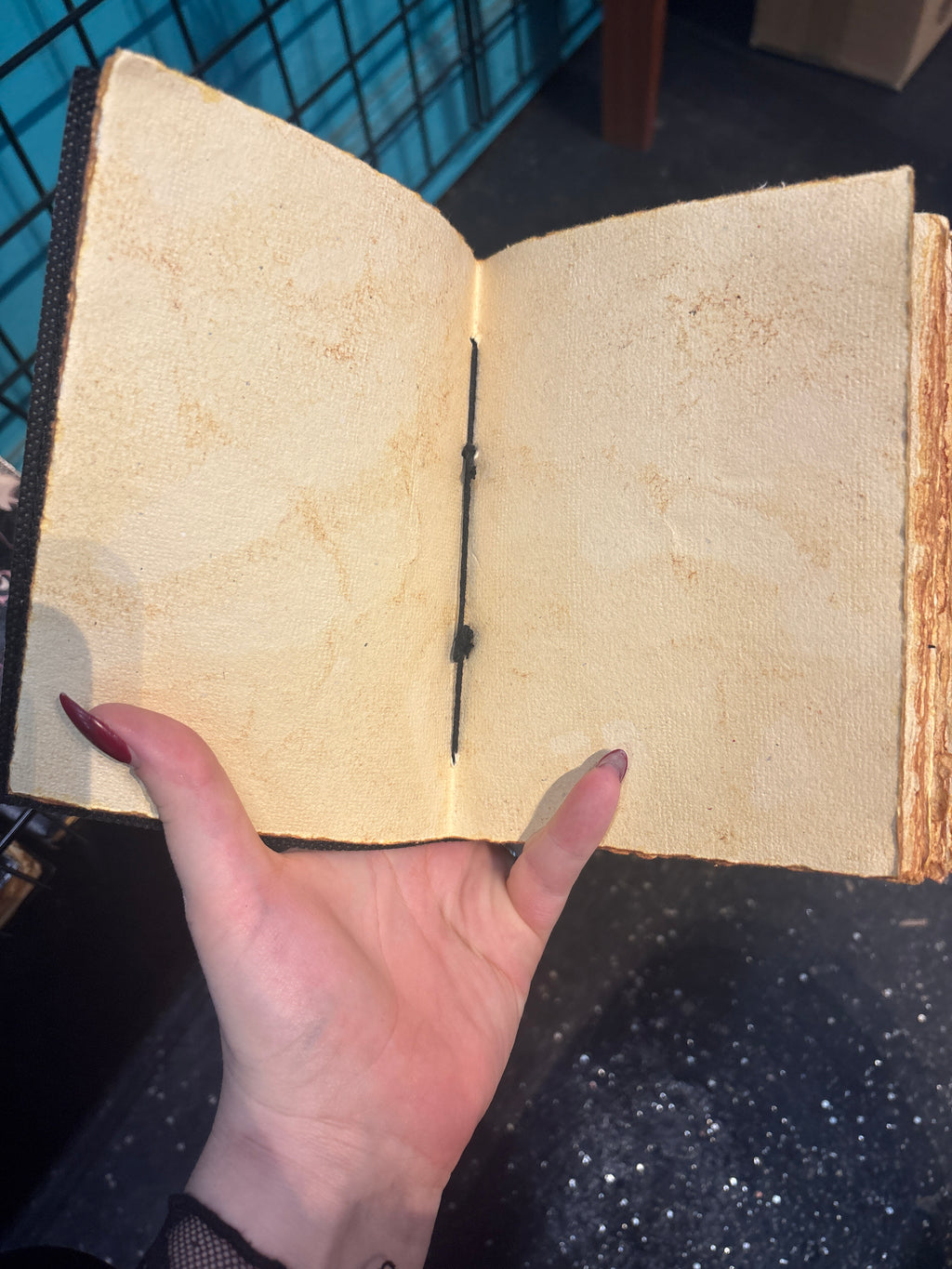 Witchy Cat Journal