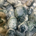 Tree Agate